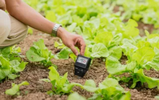 soil moisture sensor checking ph