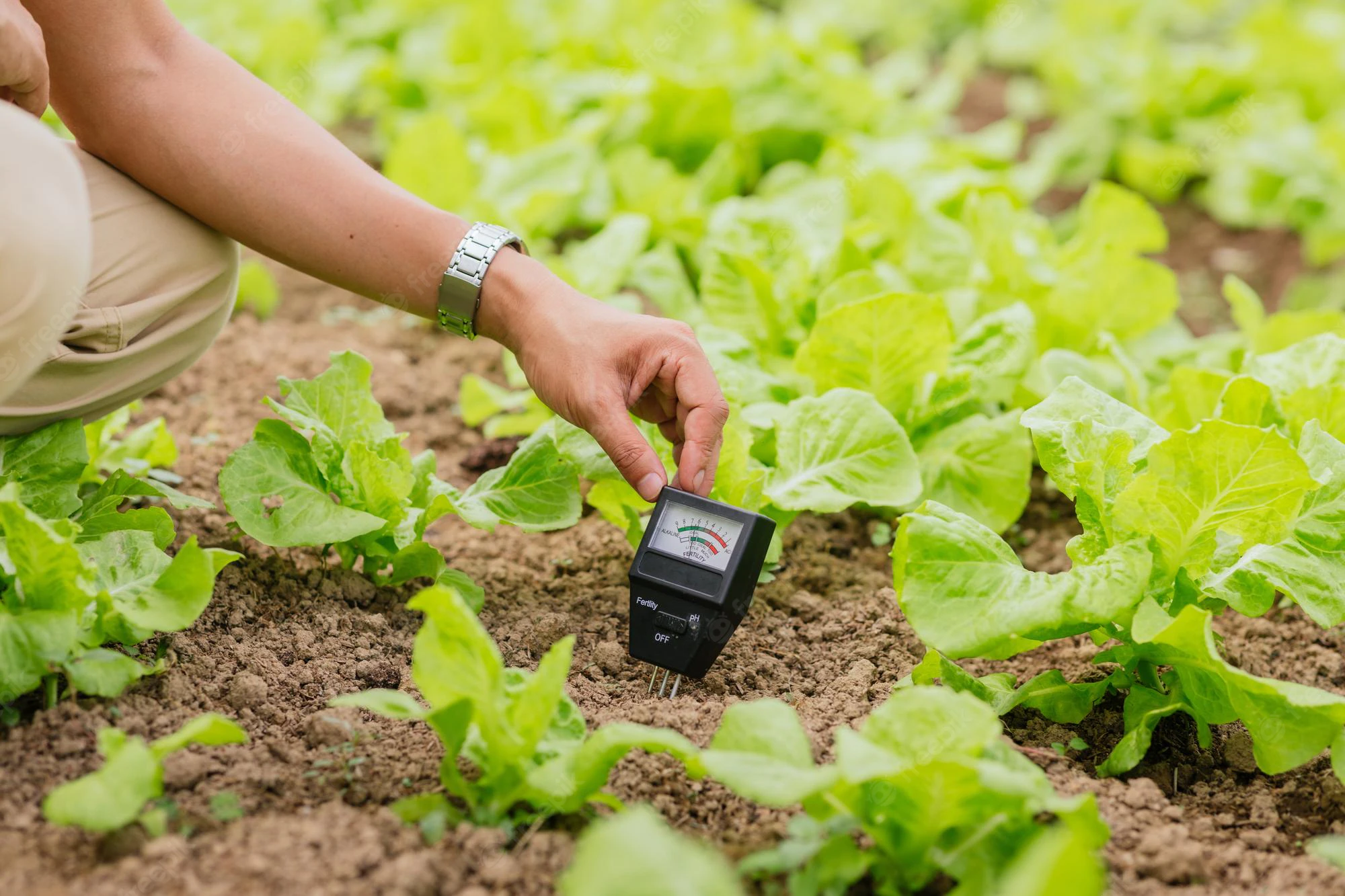 soil moisture sensor checking ph